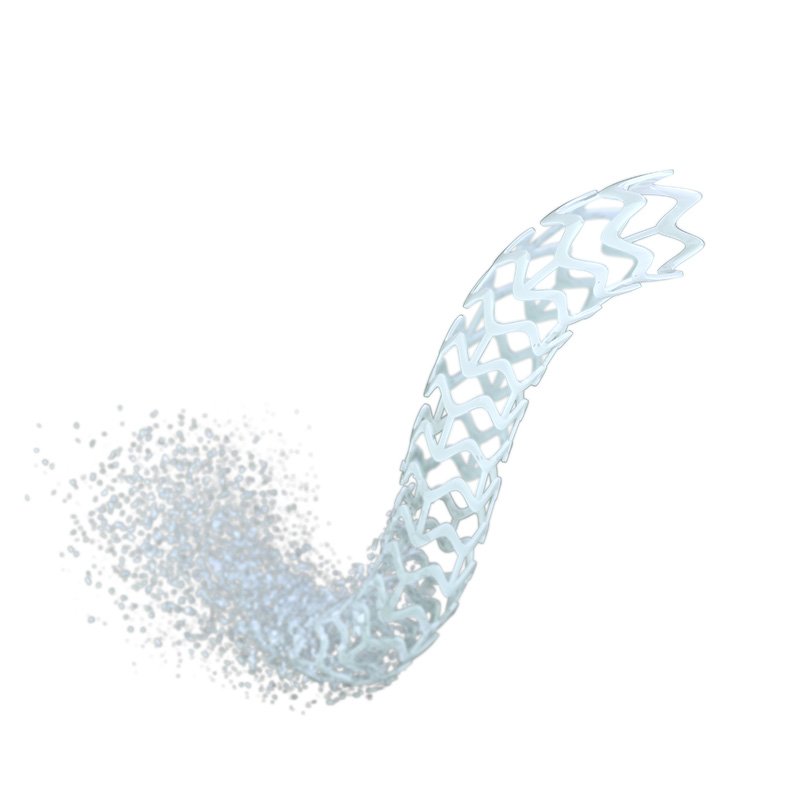 LEPU NeoVas™ Sirolimus-eluting Bioresorbable Coronary Stent System